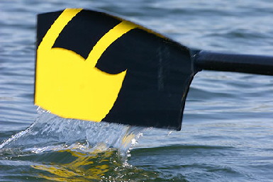 University of Michigan Blade; this photograph is in the public domain; the presence of the U. of Michigan's colors and designs do not imply any type of sexual orientation of their team or rowers. They just row really really well.