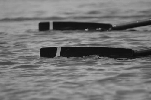 Buried and ready; Photo courtesy of Anonymous