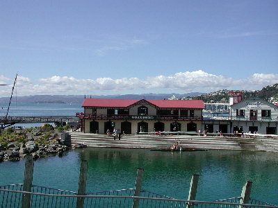 Rowing Shed in Wellington Harbour New Zealand - the presence of any organization or individual in this photograph does not imply any type of sexual orientation