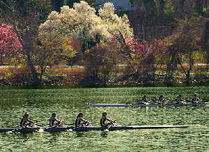 On the Schuykill River - the presence of any boat, persons, or team uniform does not imply any type of sexual orientation
