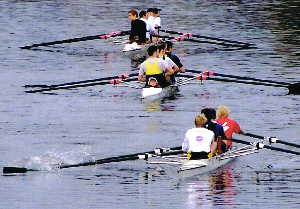 spot_the_cox; photo courtesy of John P Mullen