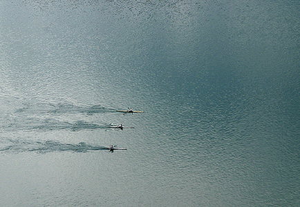 A trio of rowers on Lake Bled