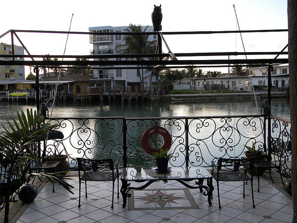 Miami2011_14