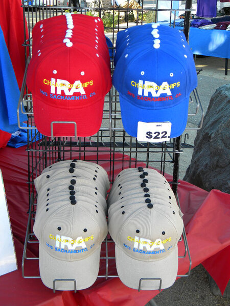 2013IRA_08